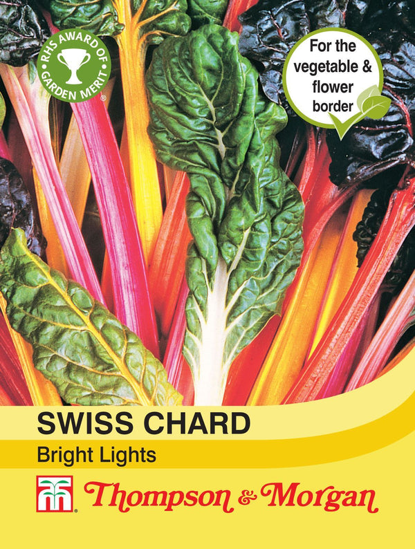 Swiss Chard Bright Lights Seeds