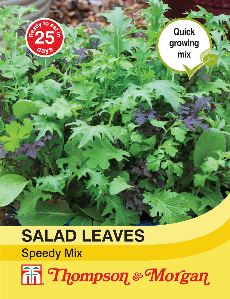 Salad Leaves Speedy Mix Seeds