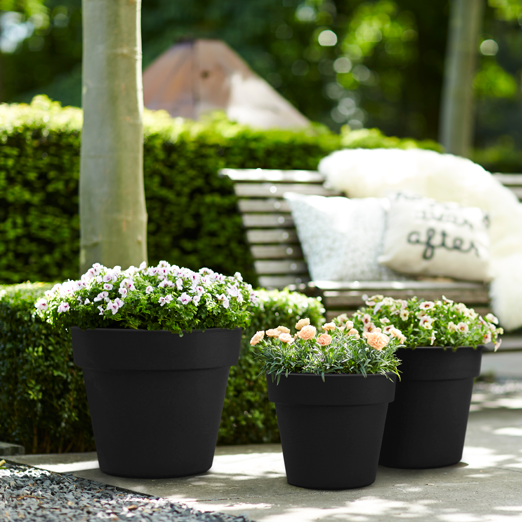 Green Basics Top Planter 23cm Living Black | Cornwall Garden Shop | UK
