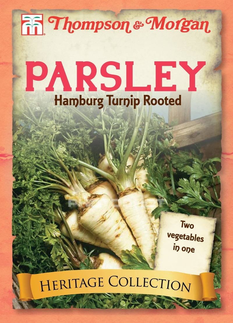 Parsley Hamburg Turnip Rooted Herb Seeds