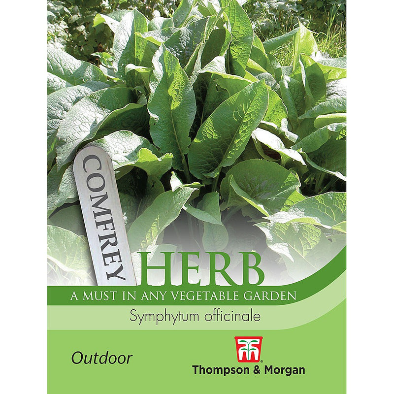 Comfrey Herb Seeds