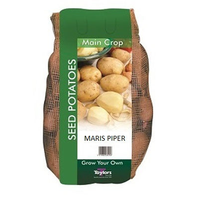 Maris Piper Main Crop Seed Potatoes 2kg