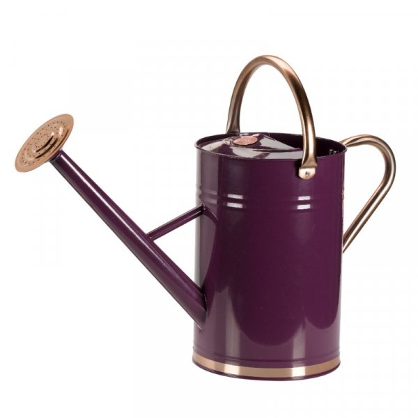 Watering Can 4.5L Violet