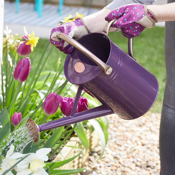 Watering Can 4.5L Violet