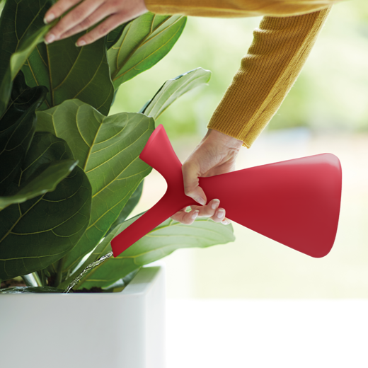 Plunge Watering Can 1.7L Brilliant Red | Cornwall Garden Shop | UK