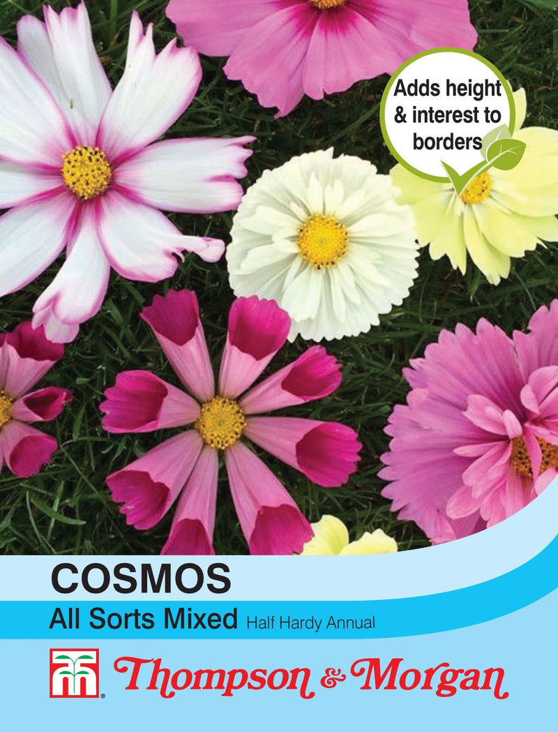 Cosmos All Sorts Mixed Flower Seeds