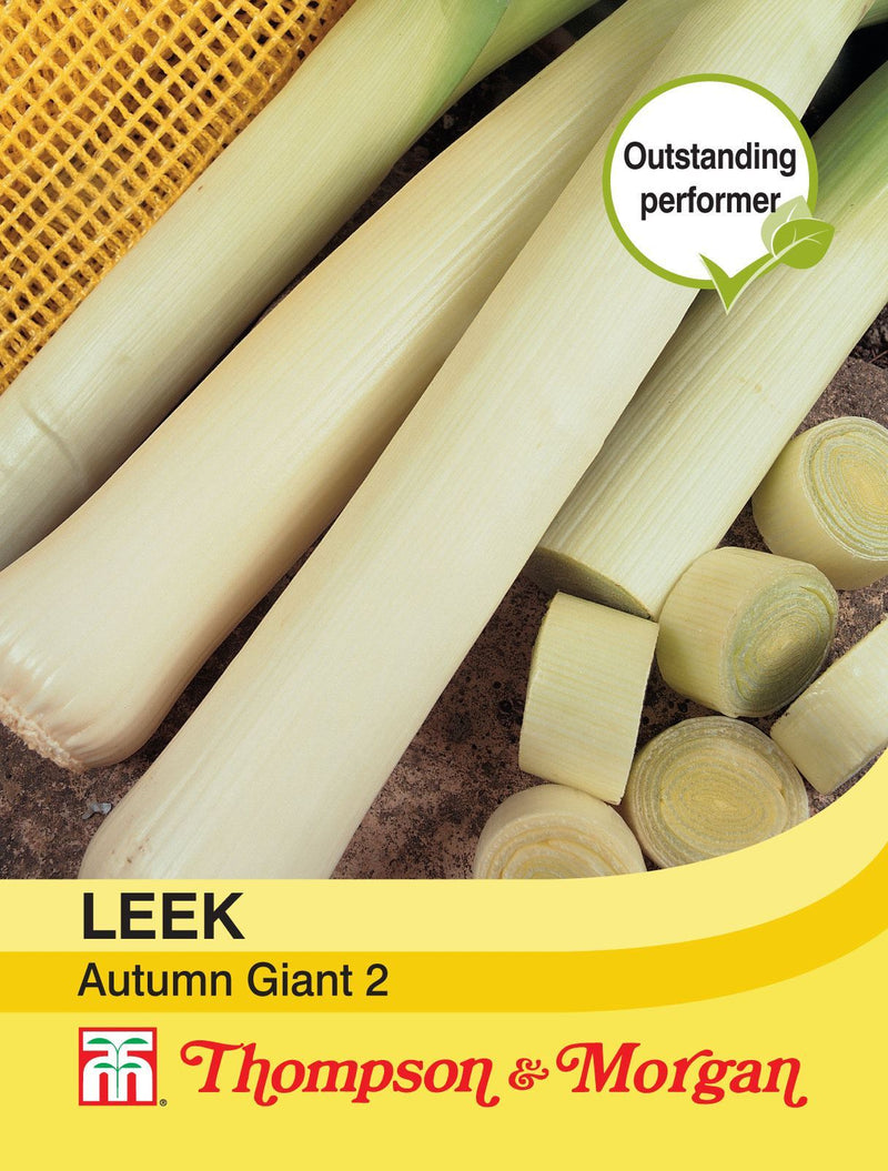 Leek Autumn Giant 2 Seeds
