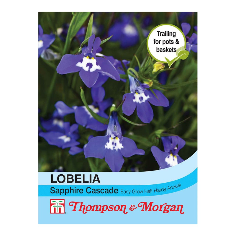 Lobelia (Trailing) Sapphire Cascade Flower Seeds
