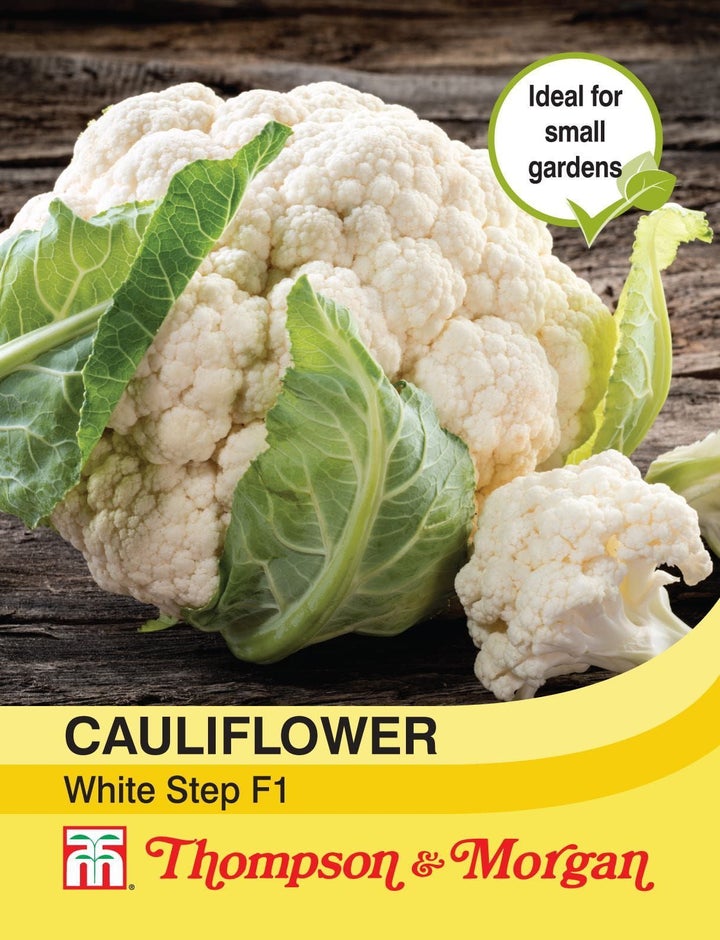 Cauliflower White Step F1 Hybrid Seeds