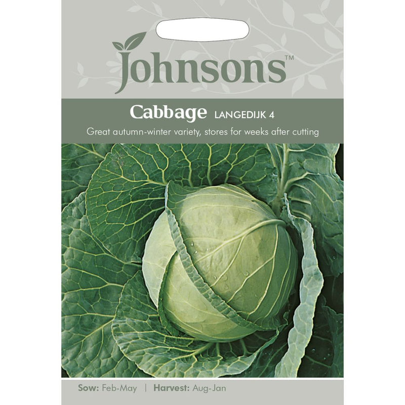 Cabbage Langedijk 4 Seeds