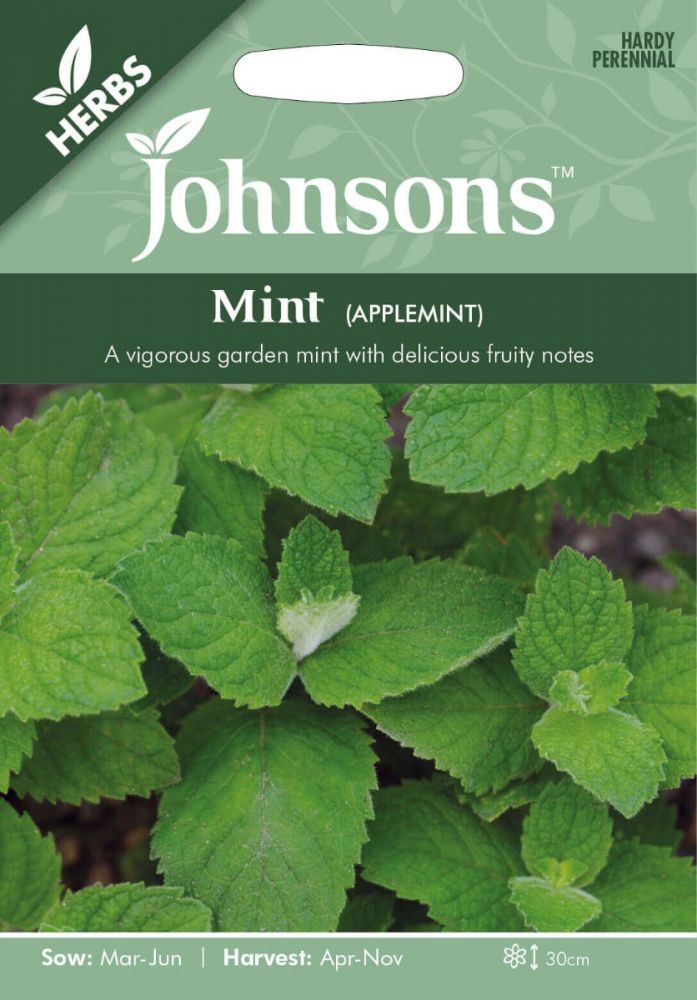 Mint (Applemint) Herb Seeds