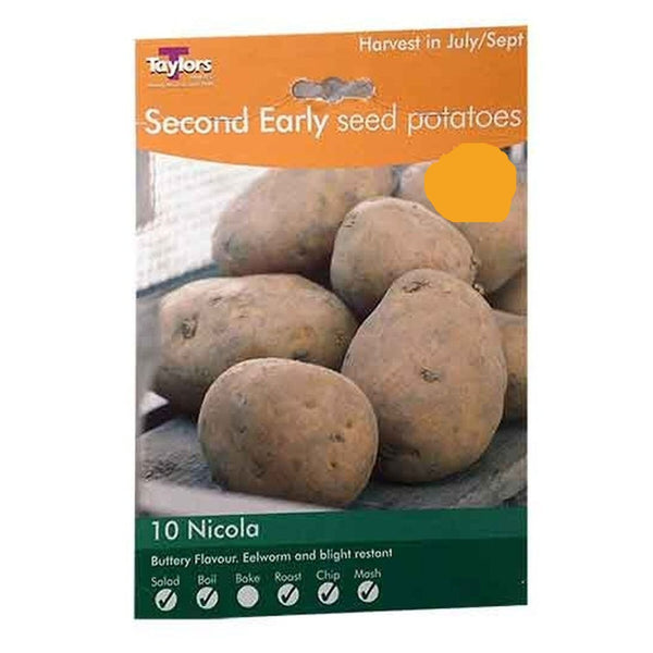 Nicola Second Early Seed Potatoes (10)