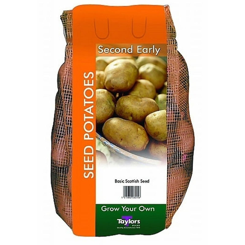 Nicola Second Early Seed Potatoes 2kg