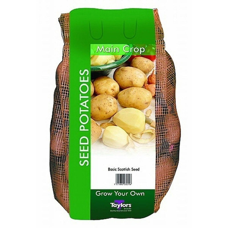 King Edward Main Crop Seed Potatoes 2kg