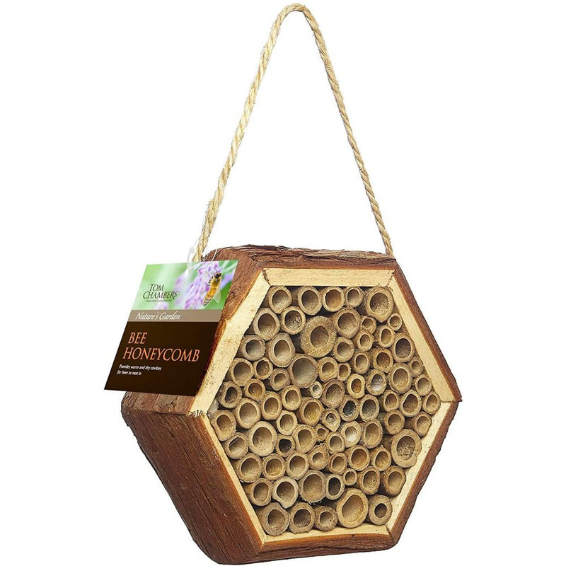 Bee Honeycomb Nest House