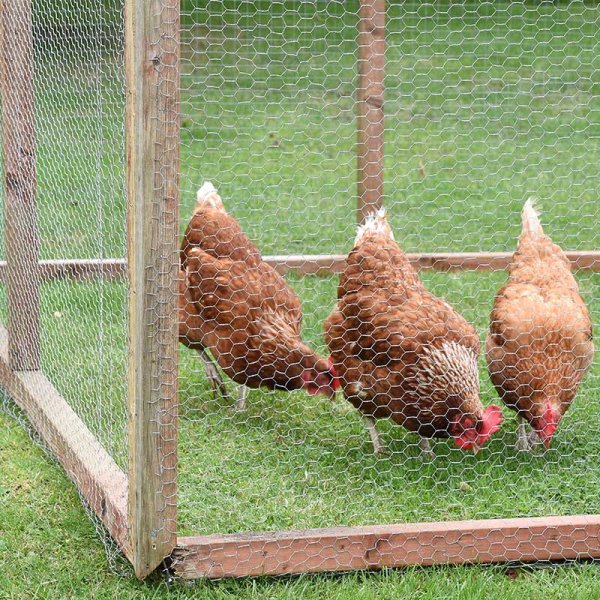 Galvanised Wire Netting 13mm 1.0 x 5m