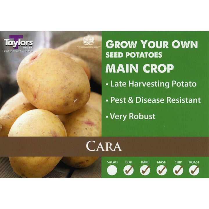 Cara Main Crop Seed Potatoes 2kg