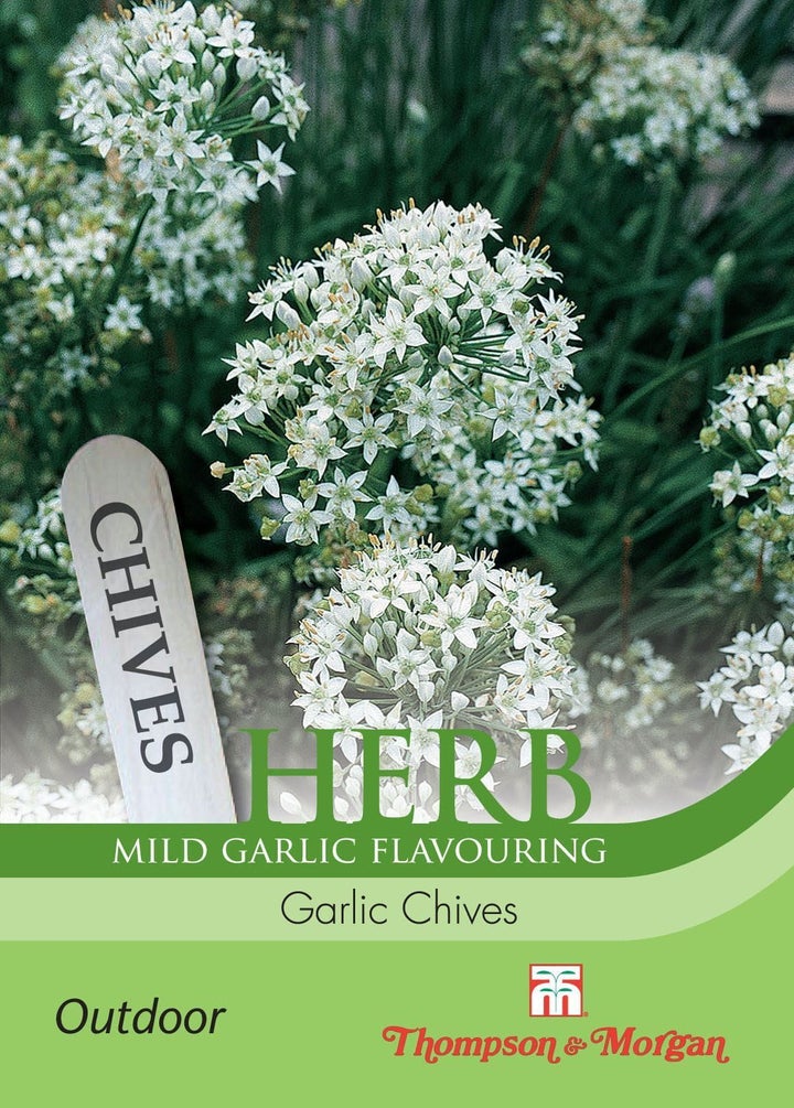 Garlic Chives Herb Seeds