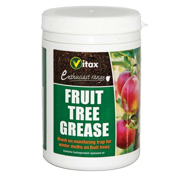 Fruit Tree Grease | Cornwall Garden Shop | UK