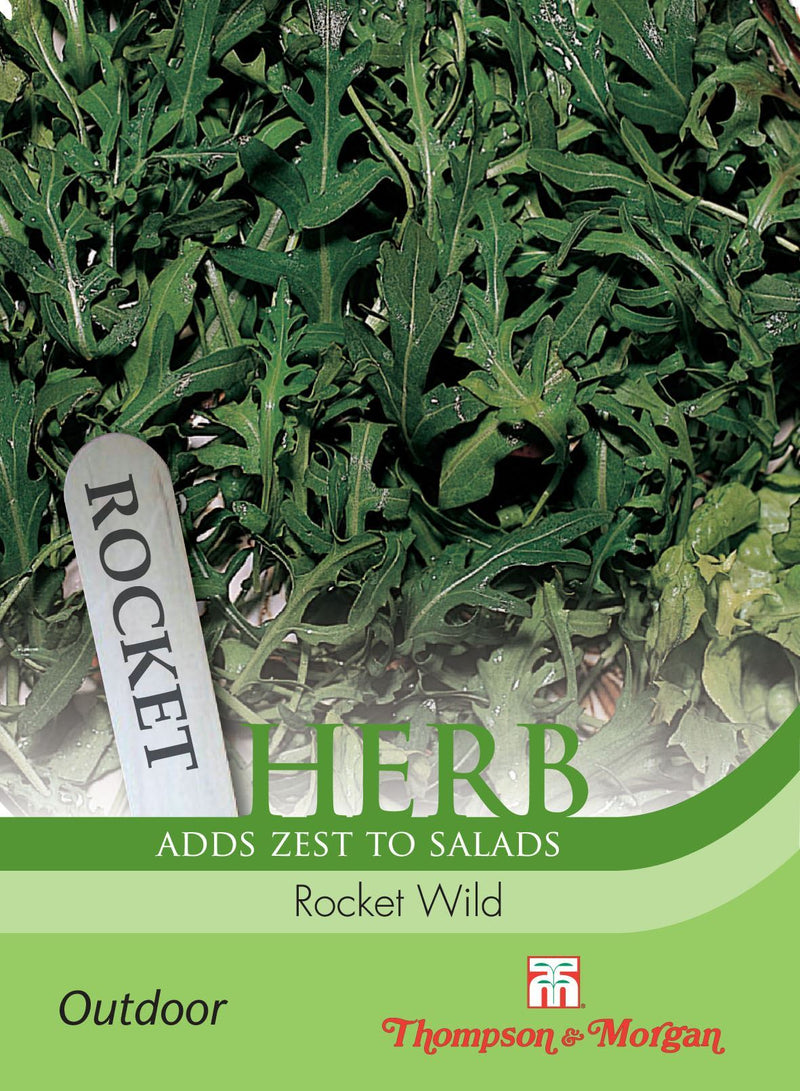 Rocket Wild Herb Seeds
