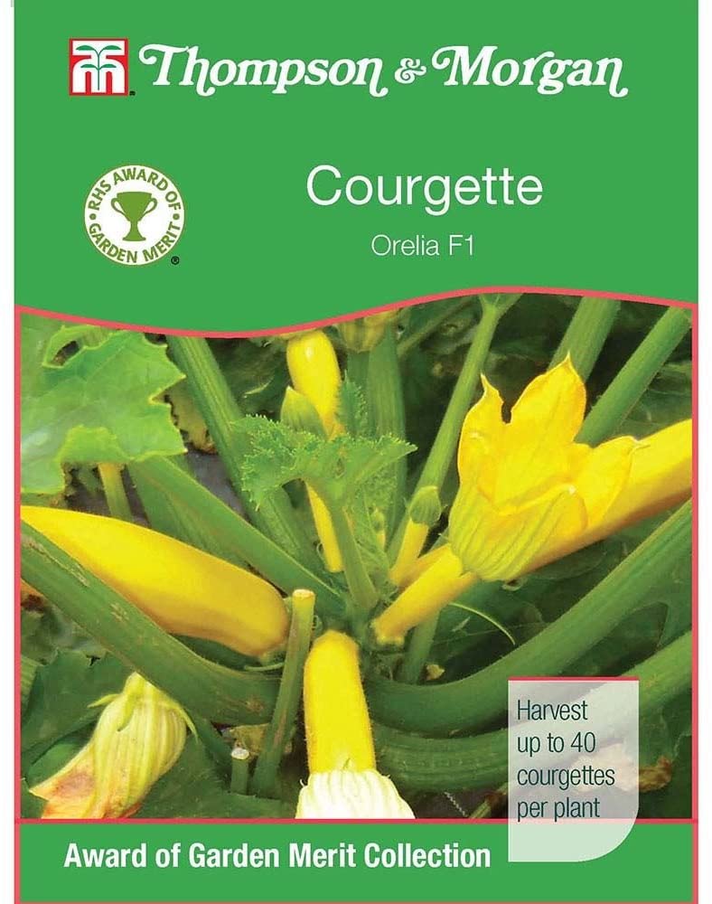Courgette Orelia F1 Hybrid Vegetable Seeds