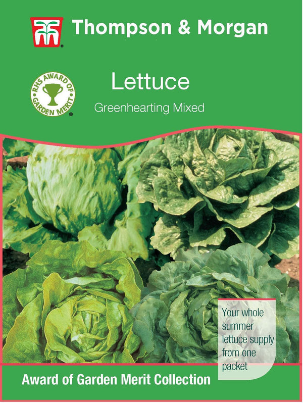Lettuce Green Hearting Mixed Seeds