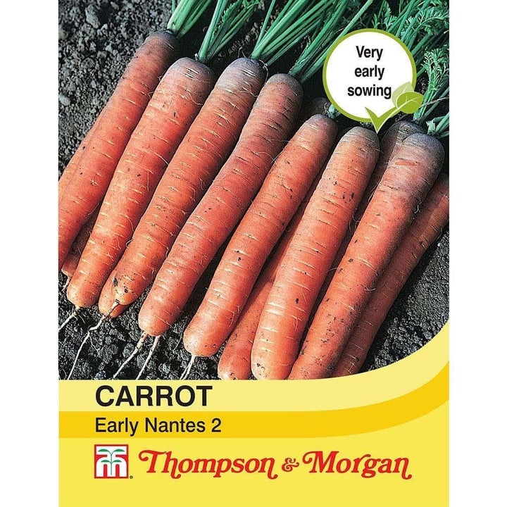 Carrot Early Nantes 2 Seeds