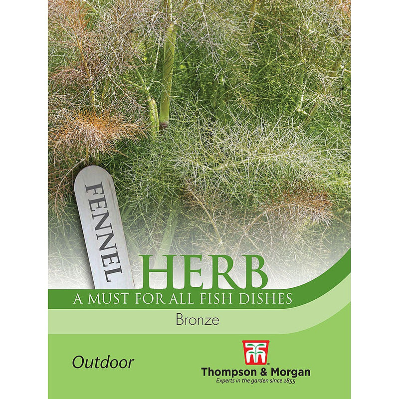 Fennel Bronze Herb Seeds