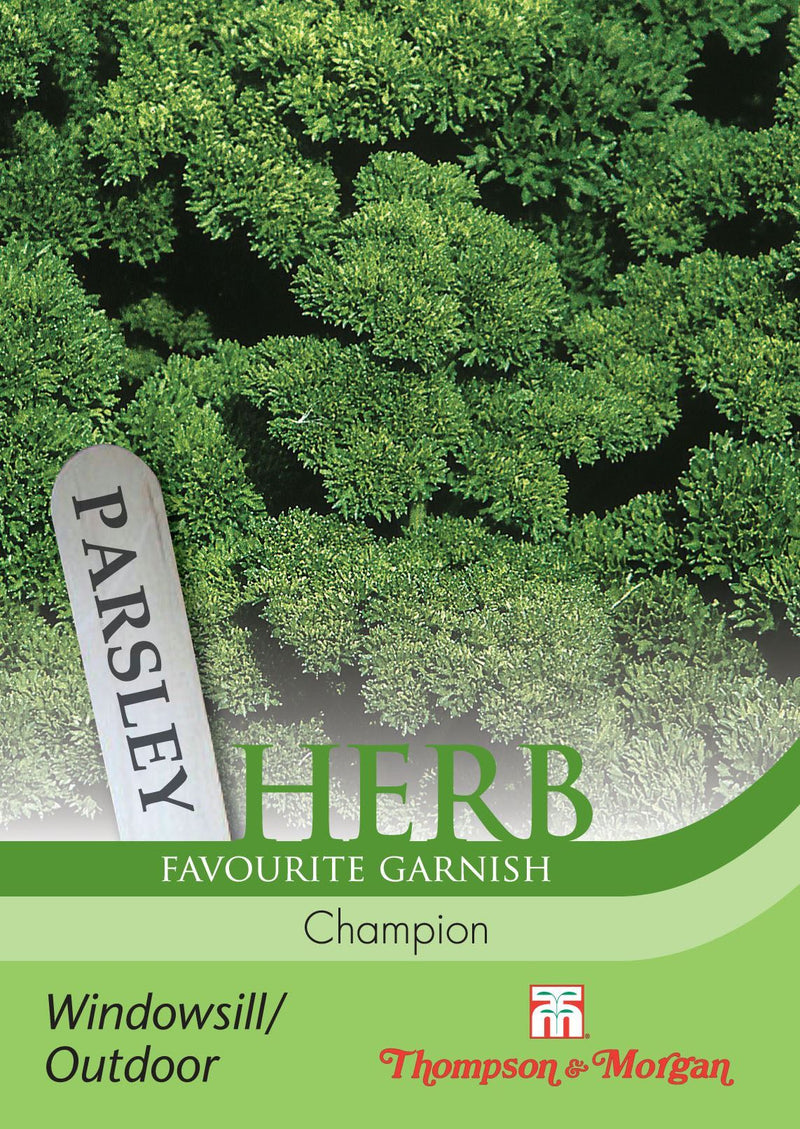 Parsley Champion Herb Seeds