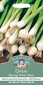 Onion (Spring) White Lisbon Seeds