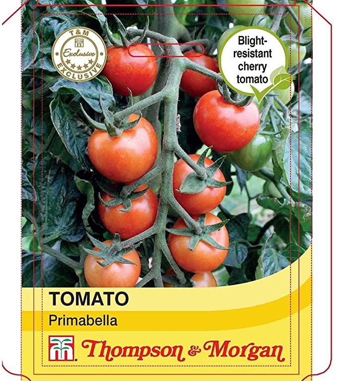 Tomato Primabella Seeds