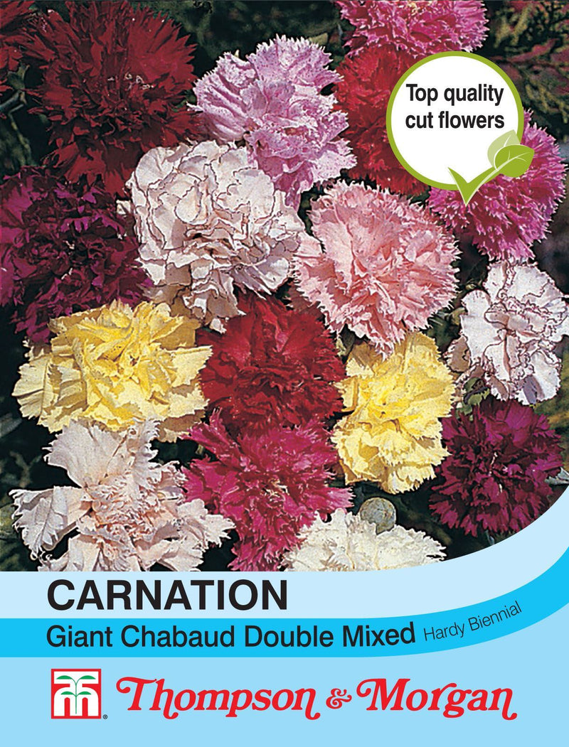 Carnation Giant Chabaud Double Mixed Flower Seeds