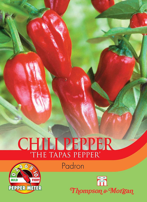 Pepper Chilli Padron Seeds