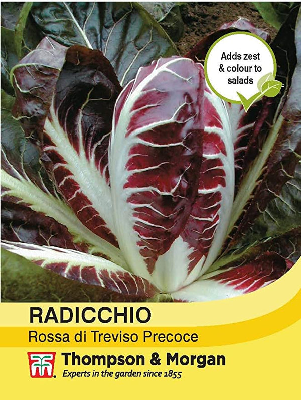 Radicchio Rossa di Treviso Precoce Seeds