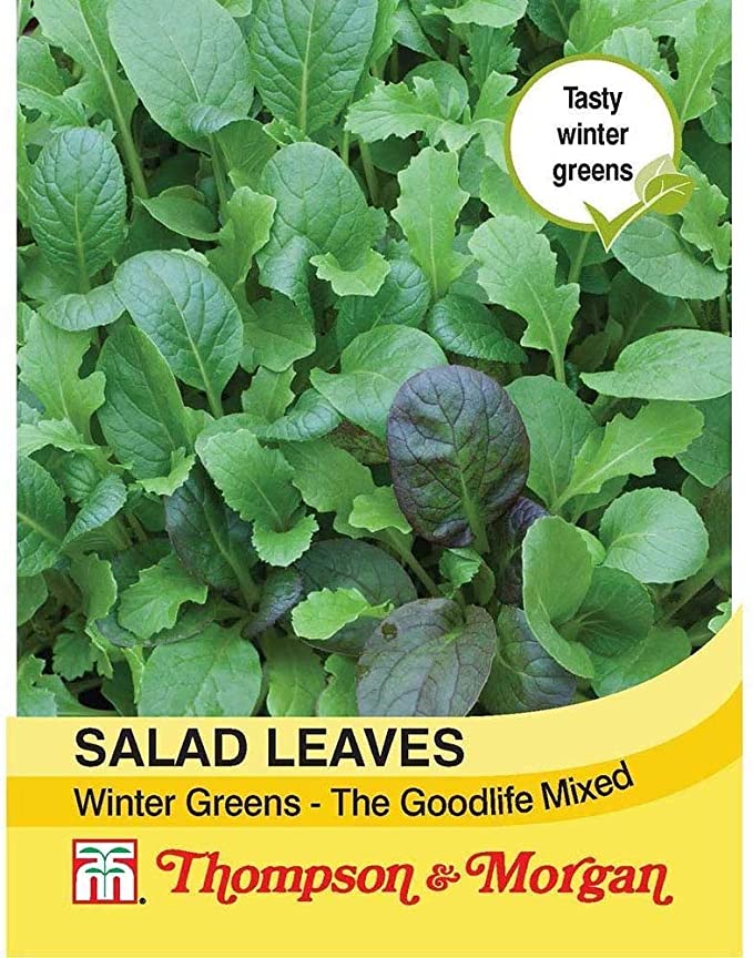Salad Leaves Winter Greens Seeds