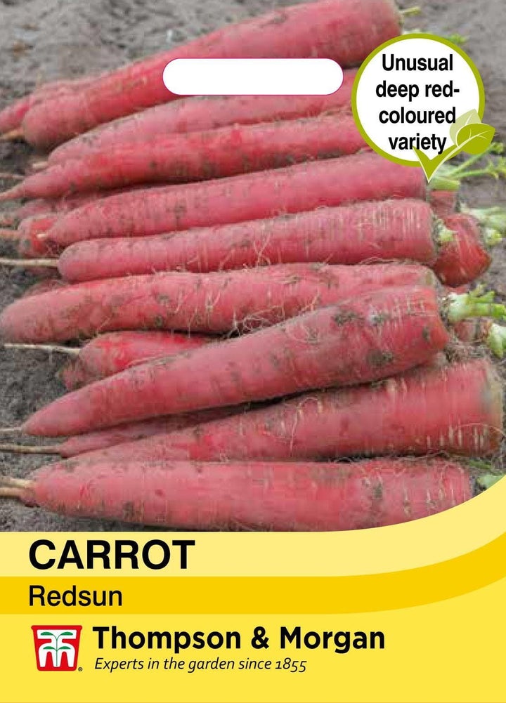 Carrot Redsun Seeds