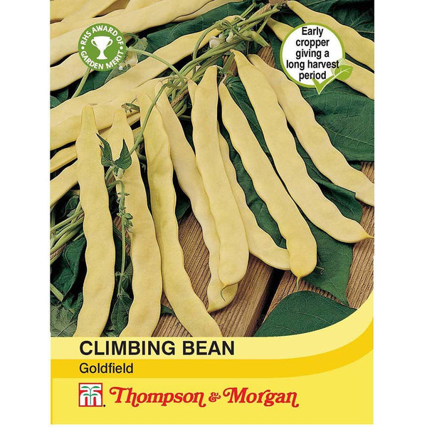 Climbing Bean Goldfield Seeds