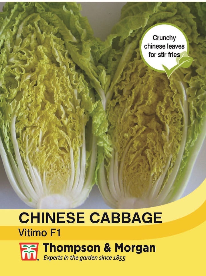Chinese Cabbage Vitimo Seeds
