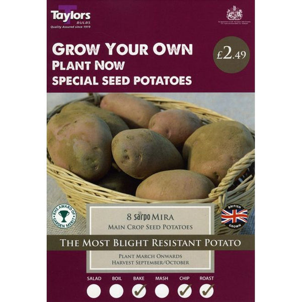 Sarpo Mira Main Crop Seed Potatoes (8)