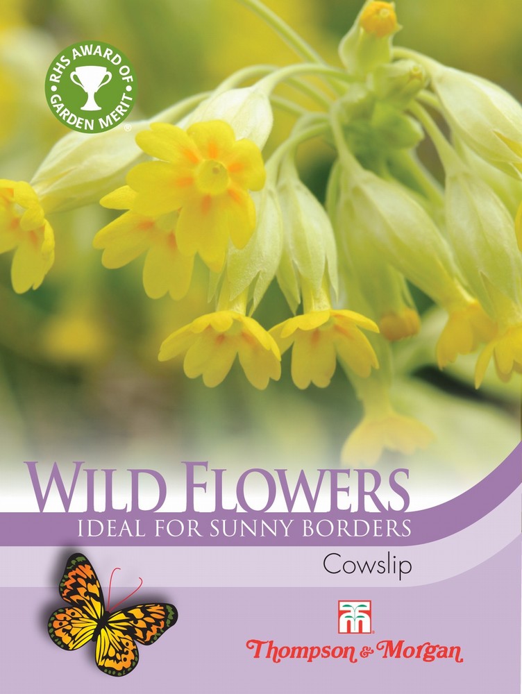 Wild Flower Cowslips (Primula Veris) Flower Seeds