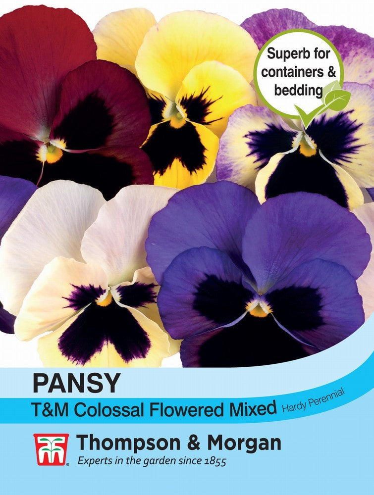 Pansy T&M Colossal Flowered Mixed