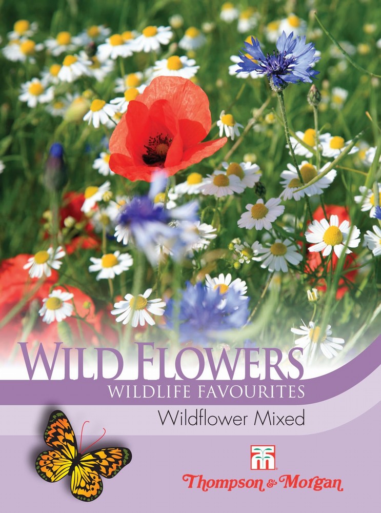 Wild Flower Mixture Flower Seeds