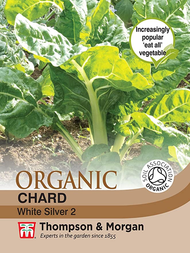 Chard White Silver 2 Organic Vegetable Seeds