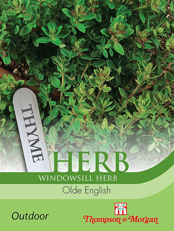 Thyme Olde English Herb Seeds