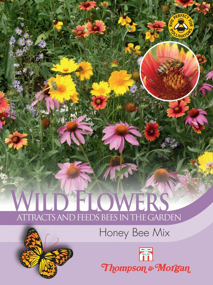 Wild Flower Honey Bee Flower Mix Flower Seeds