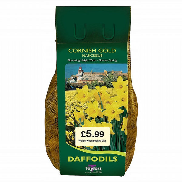 Narcissi Cornish Gold 2Kg