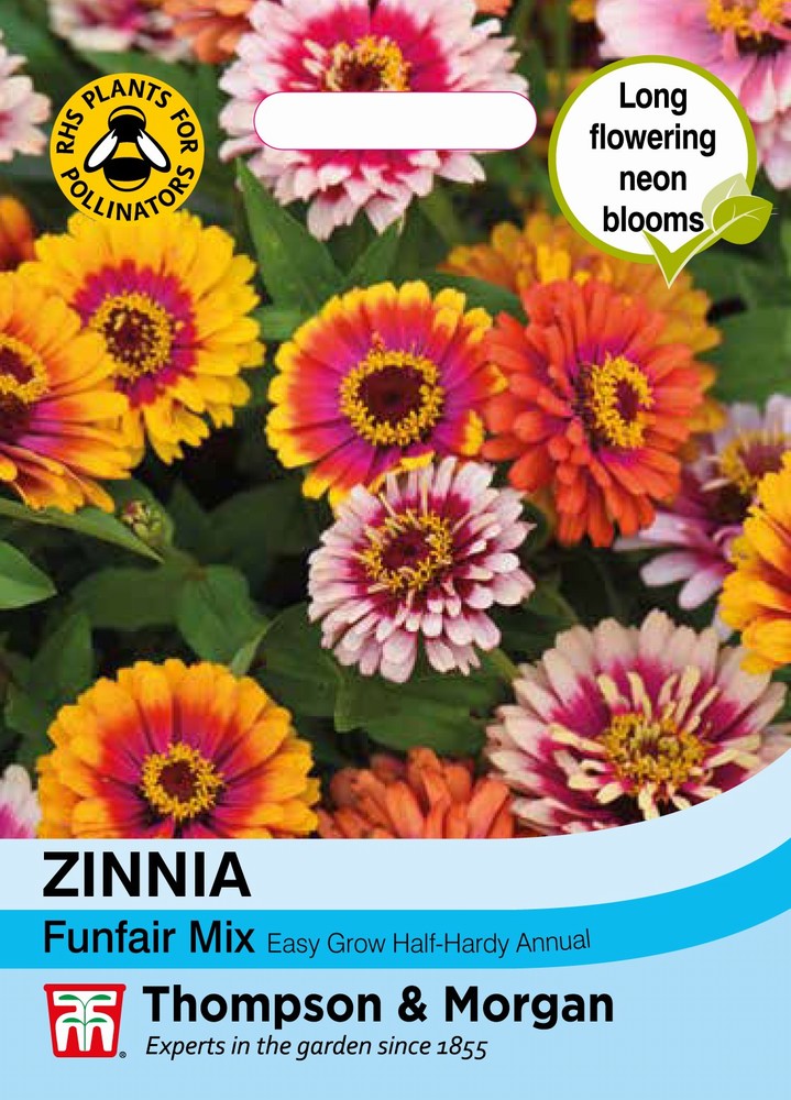 Zinnia Funfair Mix Flower Seeds