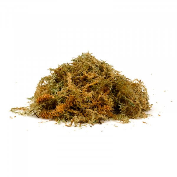 Sphagnum Moss Large