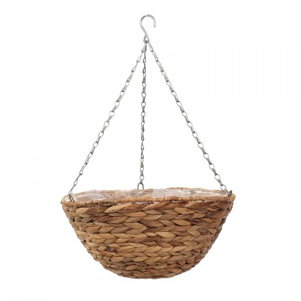 Hanging Basket Hyacinth 14" (36cm)