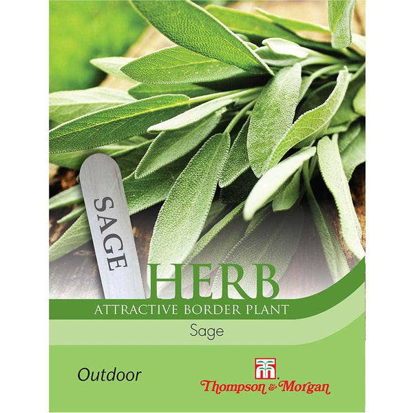 Sage Herb Seeds